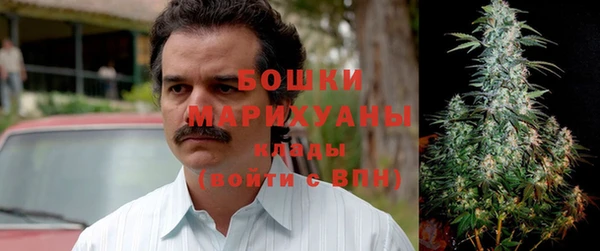 прущие грибы Магадан