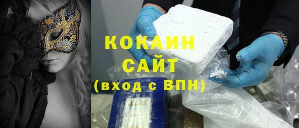 прущие грибы Магадан