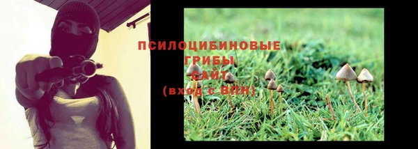 прущие грибы Магадан