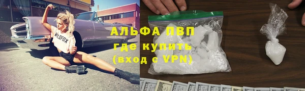 прущие грибы Магадан