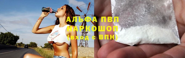 ECSTASY Майский