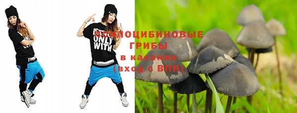 индика Великий Новгород