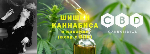 ECSTASY Майский