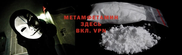 прущие грибы Магадан