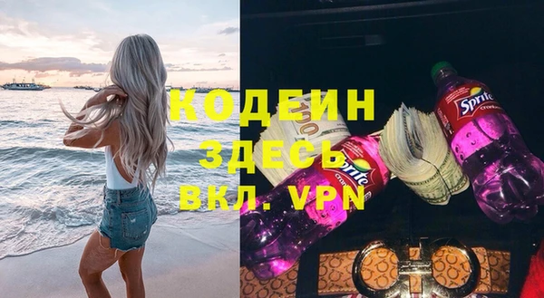 прущие грибы Магадан