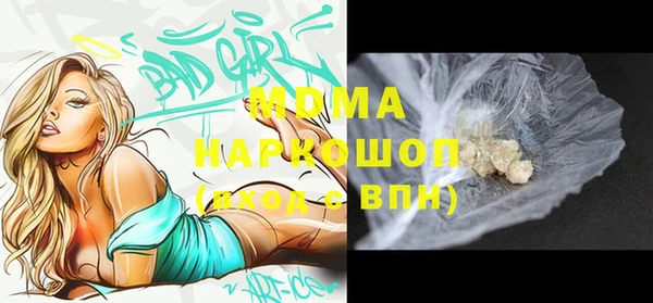 индика Великий Новгород