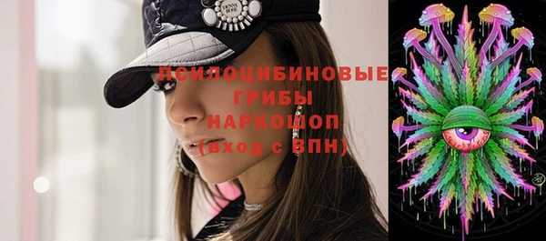 стаф Братск