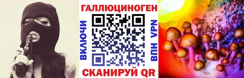 MEGA как зайти Нижние Серги Псилоцибиновые грибы Cubensis